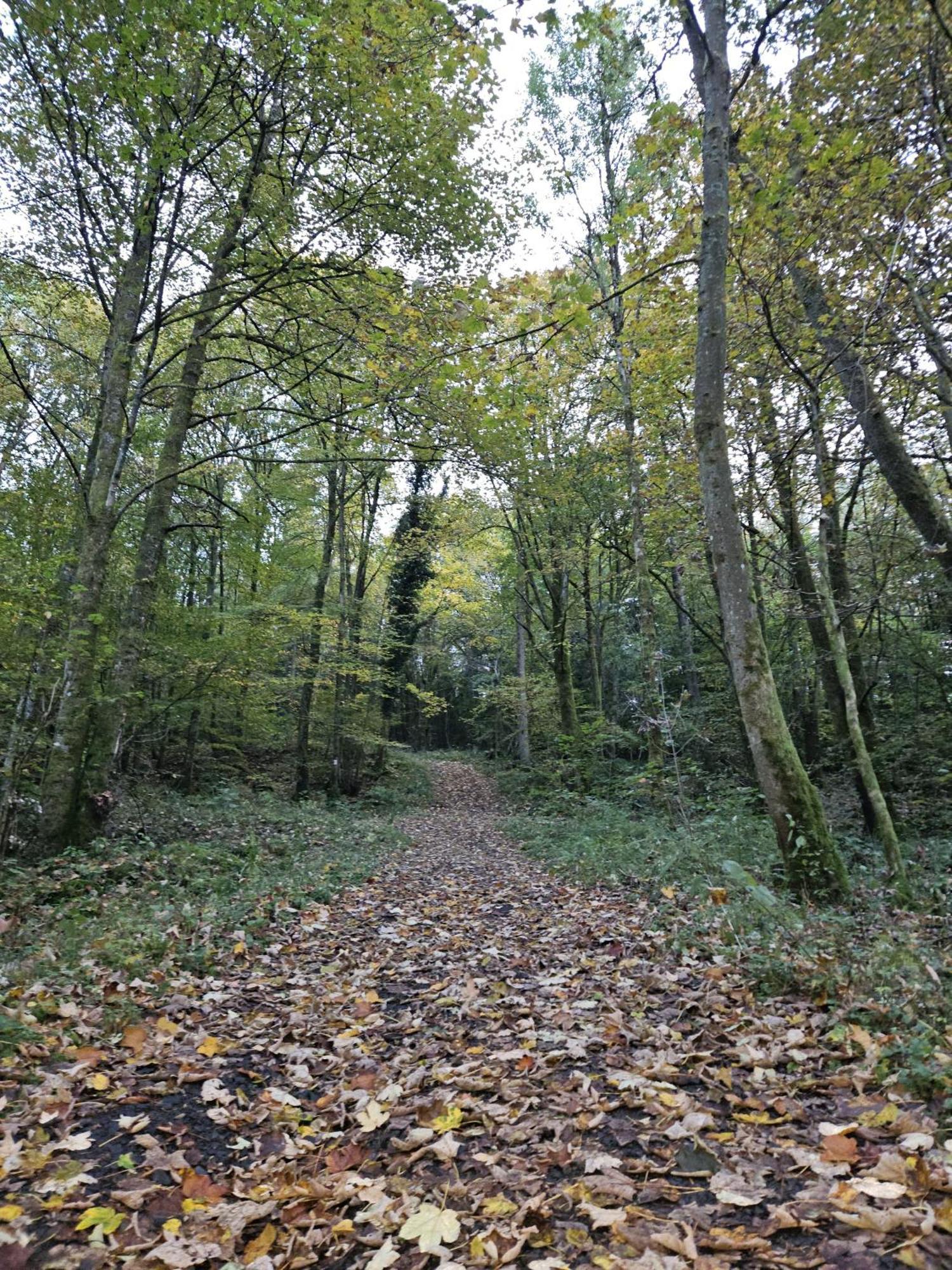 Gemuetliche Ferienwohnung Im Westerwald - "Ferienwohnung Grau" Weitefeld 外观 照片